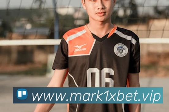 1xbet官网平台生态图